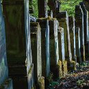 Reflex'82 30 Siegbert Luksch